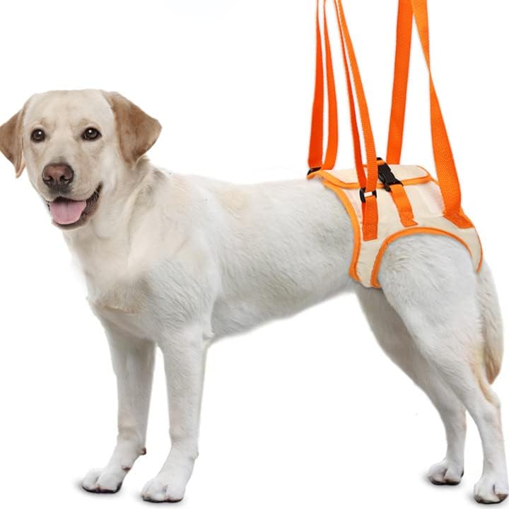 Колани за вдигане на кучета Pacify, Куче Стропа в Подкрепа на Задните крака на Големи кучета M/L/XL, Система за Подпомагане