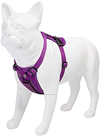Шлейка за кучета Voyager Freestyle 4-в-1 - Регулируема шлейка с подвижна подплата за малки и Големи кучета - от Best Пет Доставки (Лилаво, Средно)